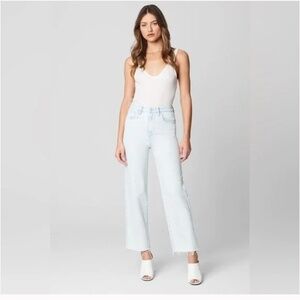 NWT Blank NYC Baxter Straight leg Jean, acidwash, 29